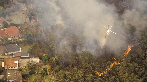Plane drops water on the bushfire